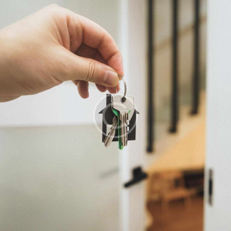 custom-img-169-copyright