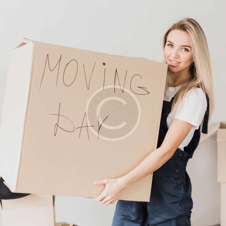 custom-img-174-copyright