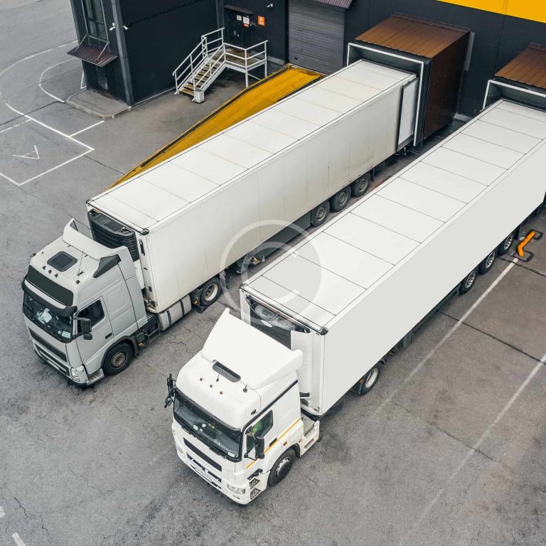 custom-img-185-copyright