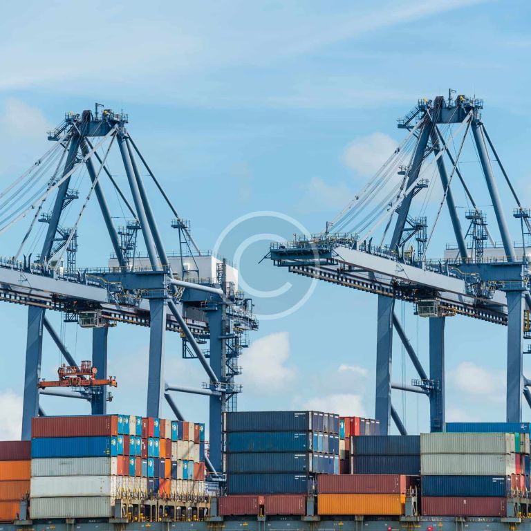 custom-img-186-copyright